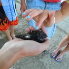 thumbnails/014-tabor16.jpg.small.jpeg